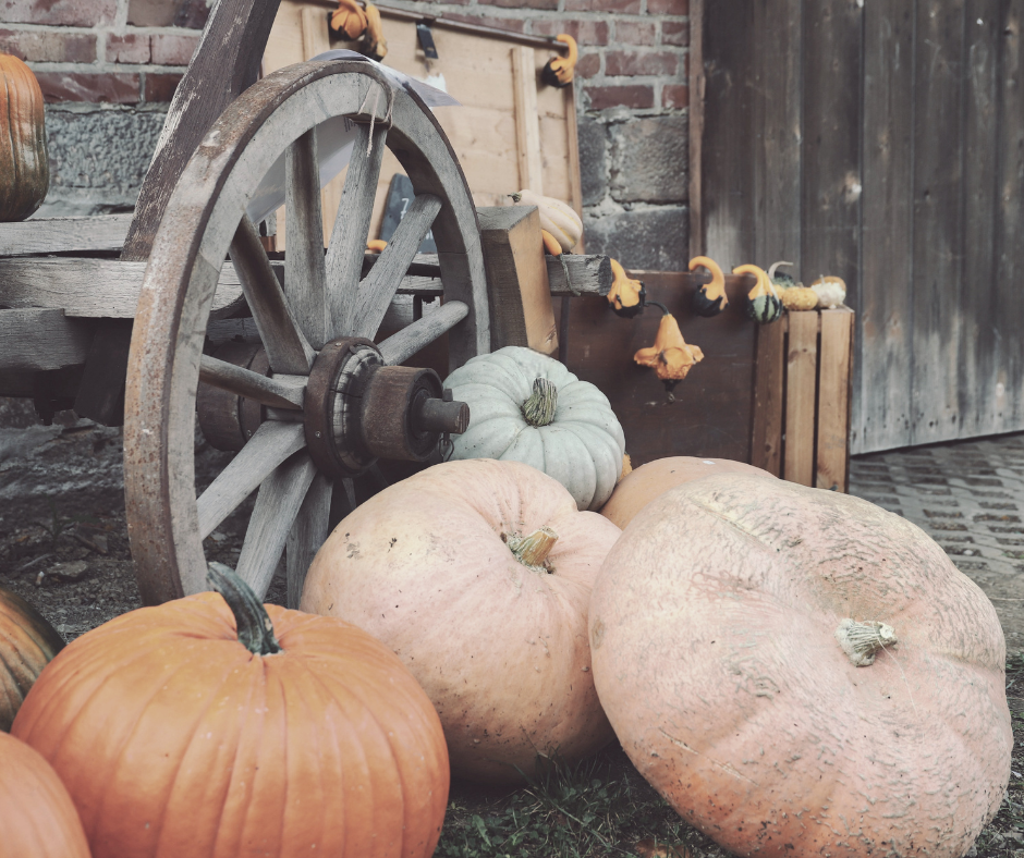 Hometown Harvest Collection