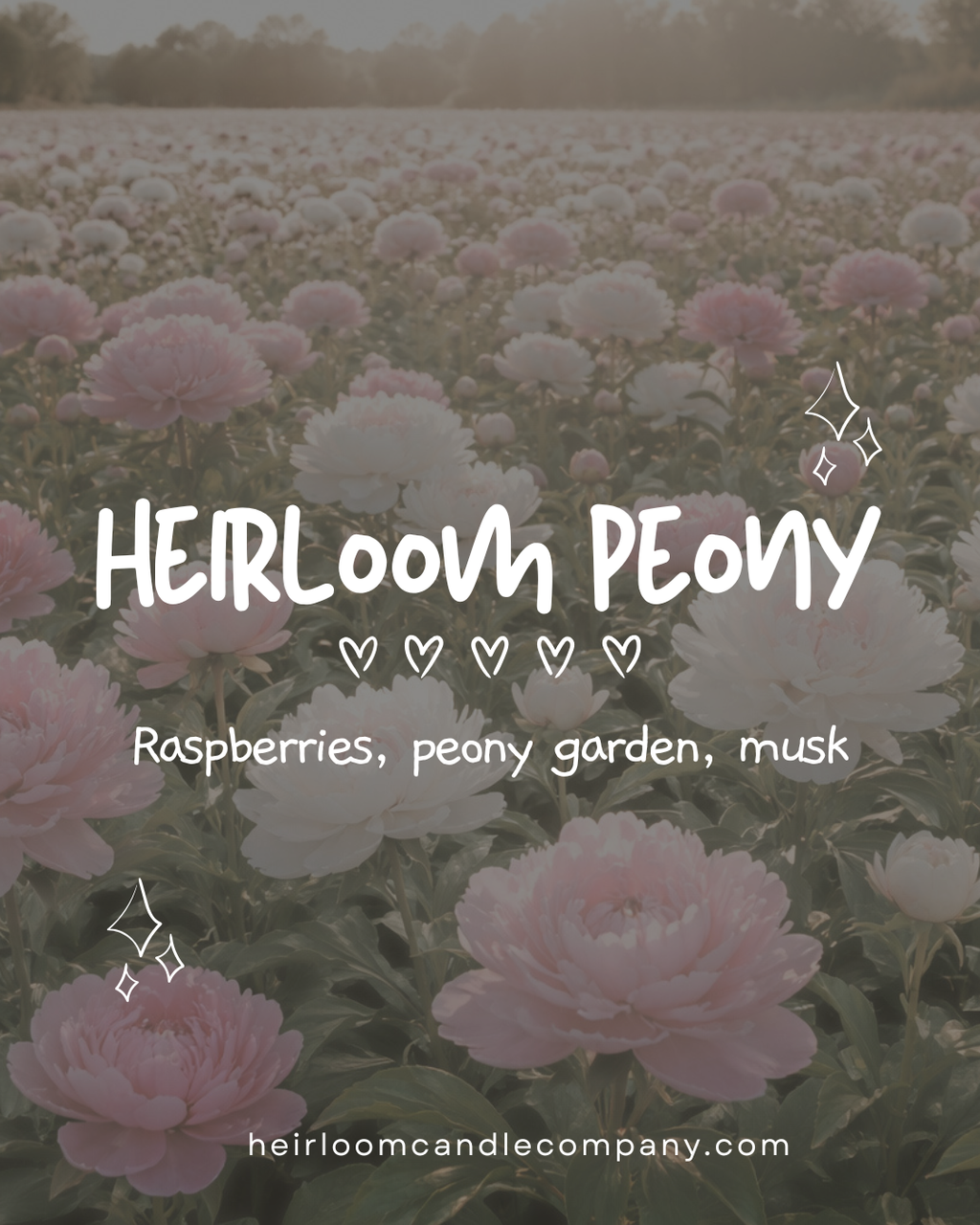 Heirloom Peony | Soy Candle | Spring Collection