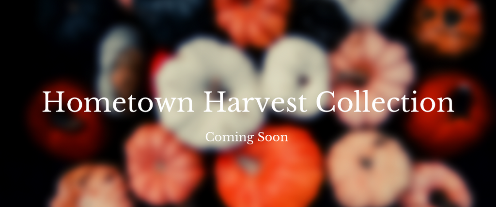 Hometown Harvest Fragrance Discovery Kit
