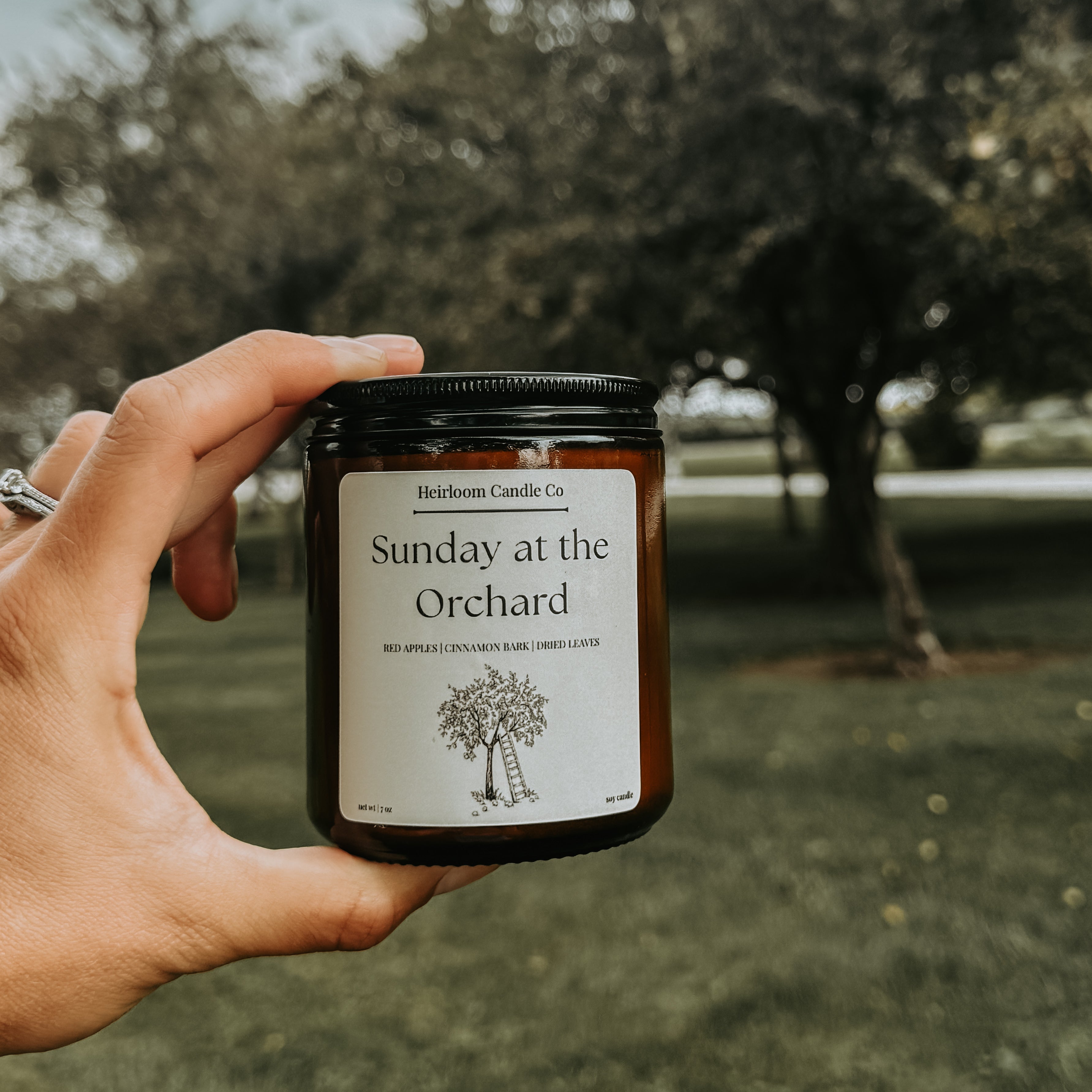 Sunday at the Orchard || 7 OZ Soy Candle